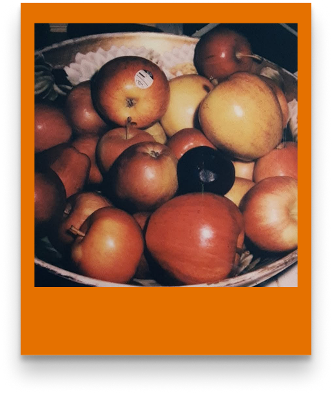 a polaroid taken with cams